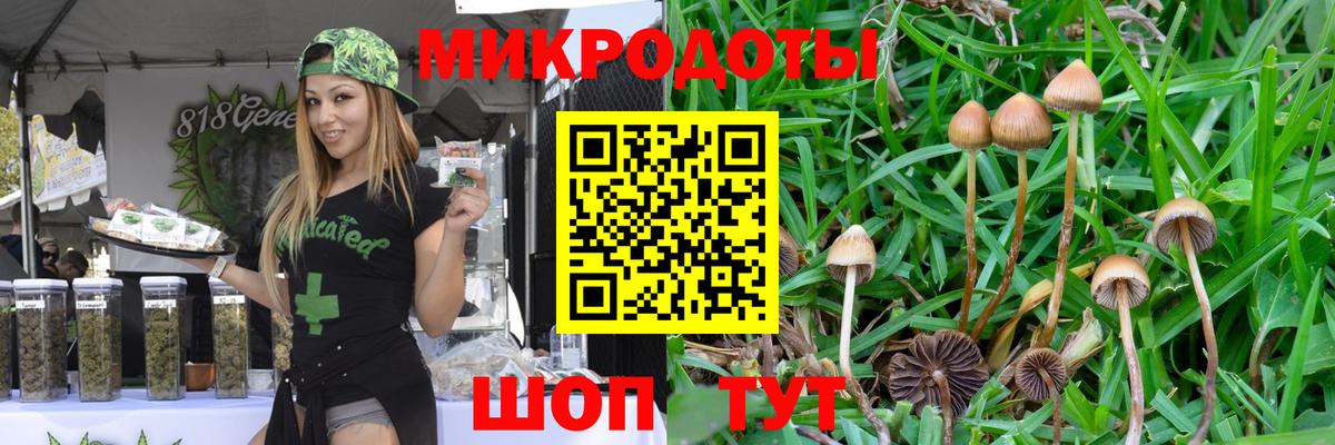 Кызыл  Галлюциногенные грибы Magic Shrooms  Псилоцибиновые грибы мухоморы  Вход с VPN 